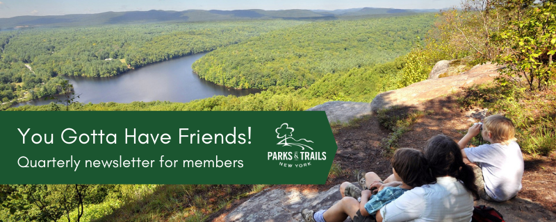 You Gotta Have Friends Newsletter